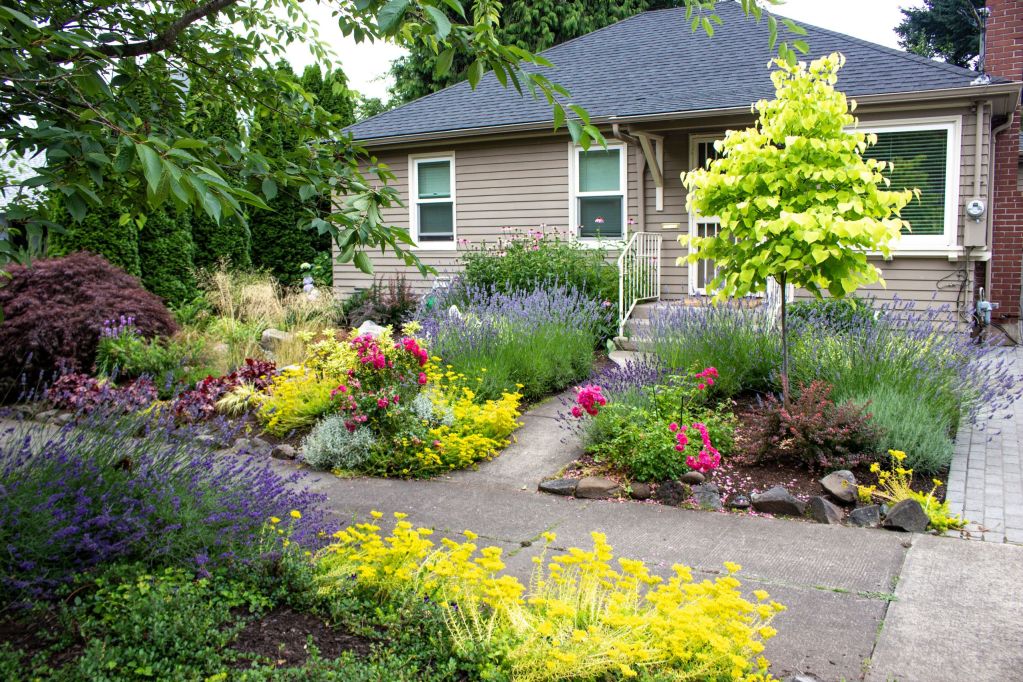 Front Yard Landscape Ideas in Colorado